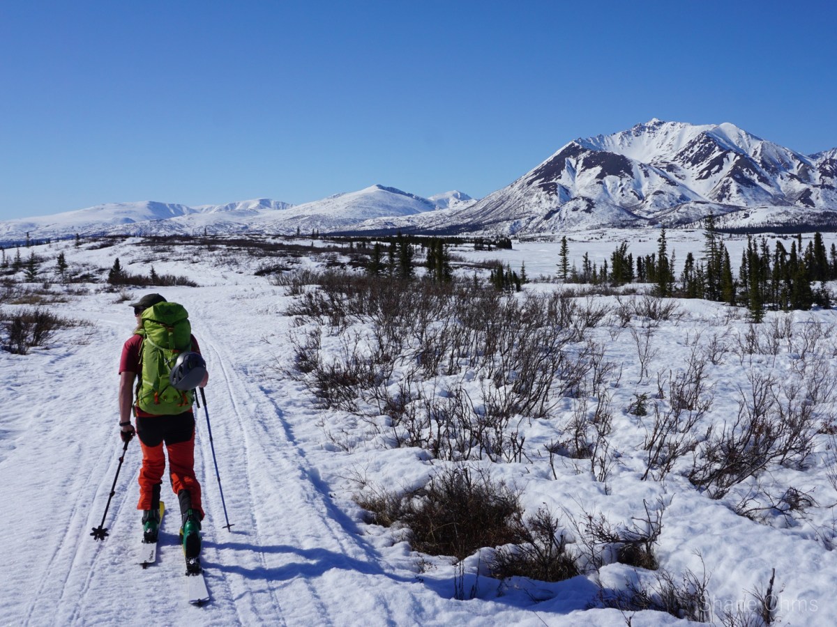 Peak 5350 (Talkeetna&nbsp;Mountains)